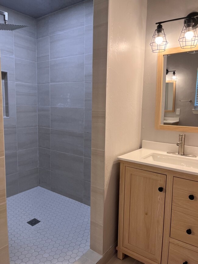 Master bath, walk-in shower and all new amenities - 132 Elwood Dr