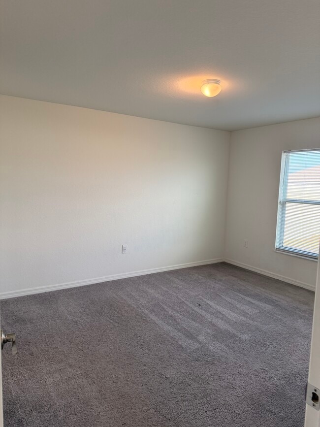 Building Photo - 281 Arbuthnot St