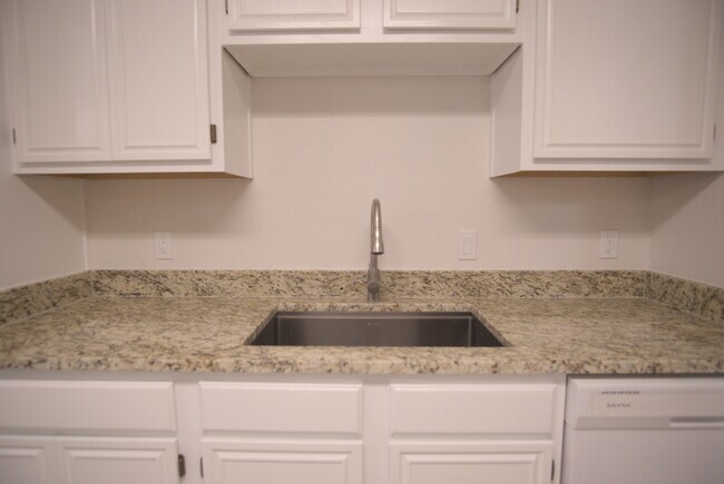 Building Photo - 2089 Paint Pony Ln