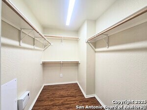 Building Photo - 12239 Painted Daisy