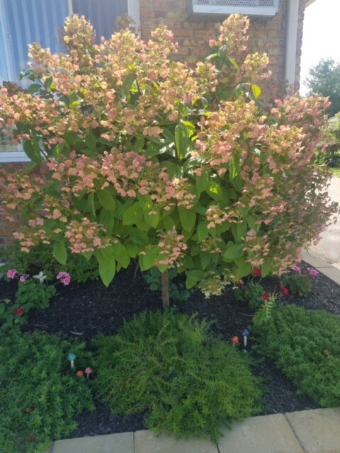 front porch flowers - 61035 11 Mile Rd