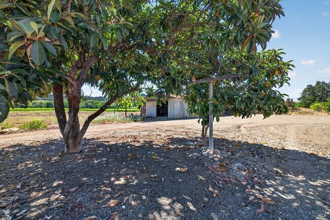 Building Photo - 4980 Dry Creek Rd
