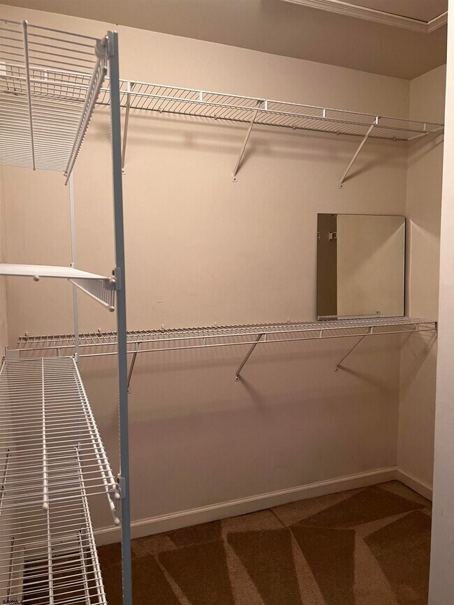 Building Photo - 704 St Thomas Dr