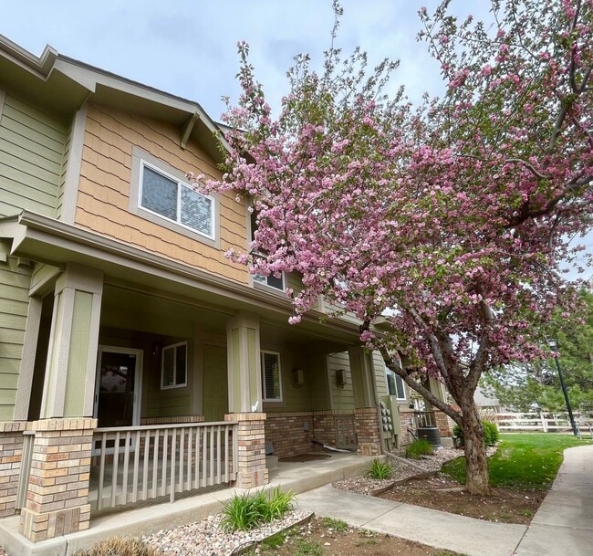 Building Photo - Townhome -2 bed 2.5 bath + bonus area