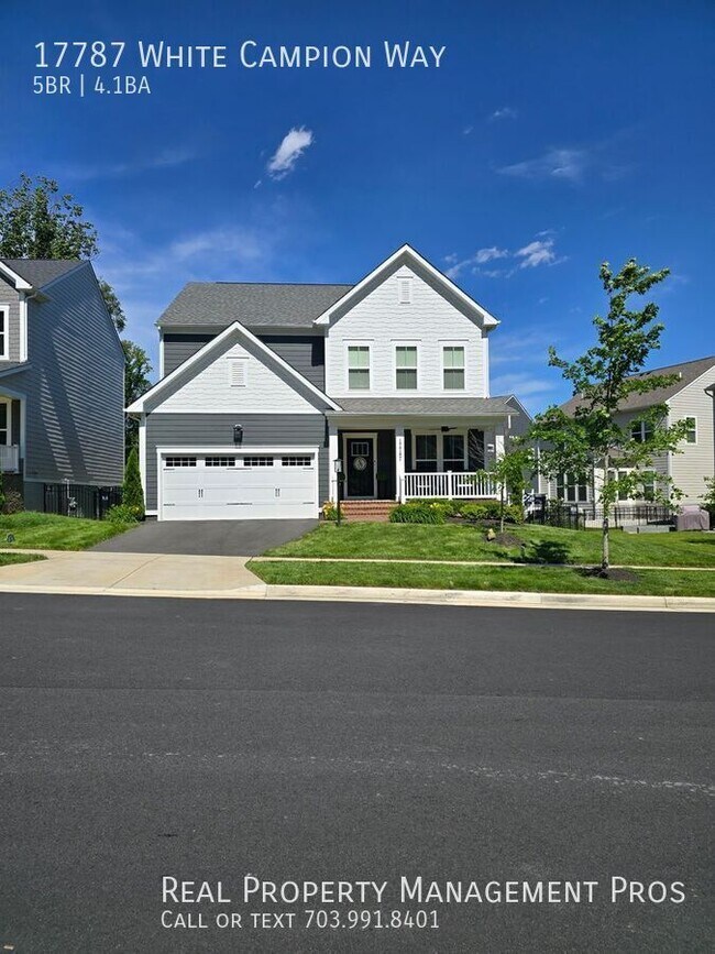 Building Photo - 17787 White Campion Wy