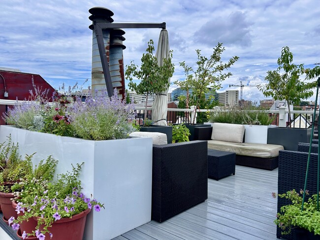 Rooftop terrace - 1808 Riggs Pl NW