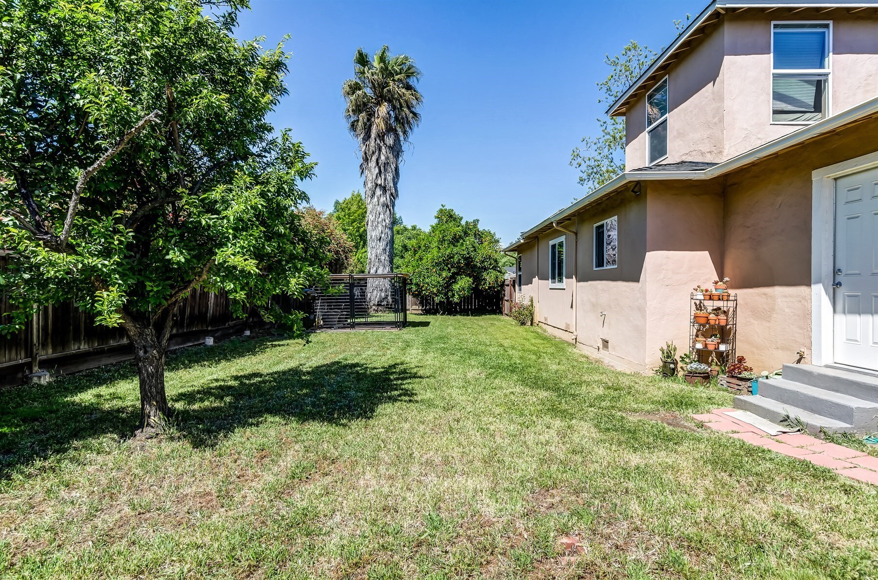 Backyard - 3586 Sanford St