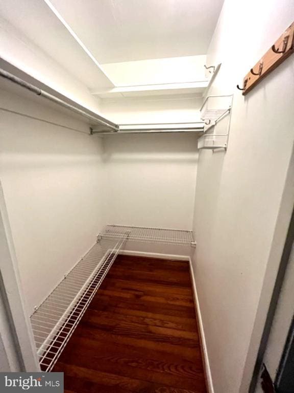 Building Photo - 3840 Steppes Ct