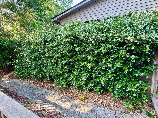 Building Photo - Fully Furnished Coastal Home in Gated Allenwood Community | Steps from Pool, Minutes from Schools...