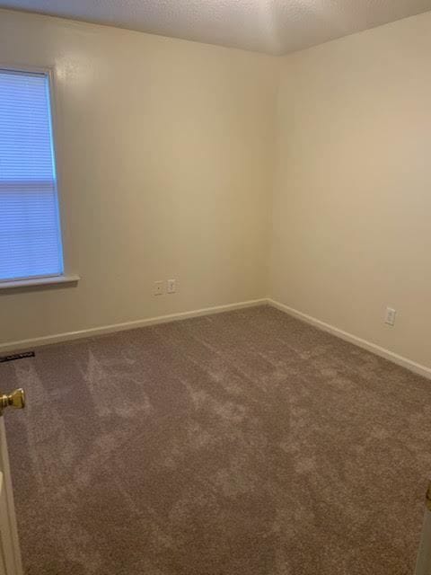 Building Photo - 4205 Williamsbrook Ln