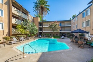 Pool - The Elms Apartments