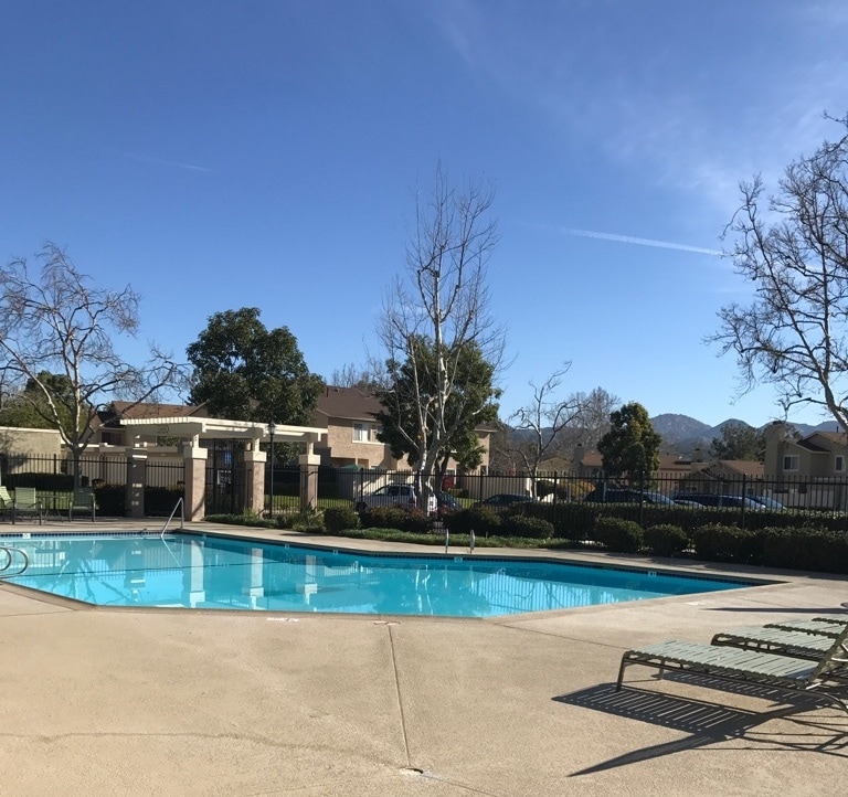 Pool - 13611 Sycamore Tree Lane