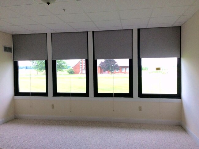 living room windows - 384 County Rte 54