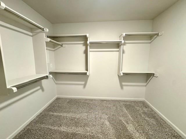 Building Photo - 3212 Mt Nebo Dr