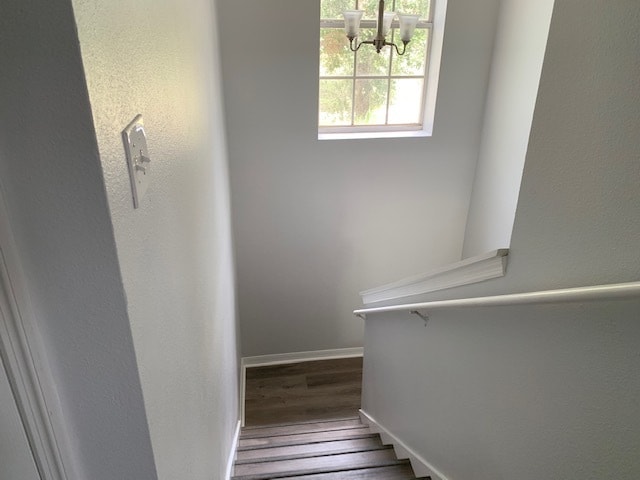 Building Photo - 1803 Royal Ridge Dr