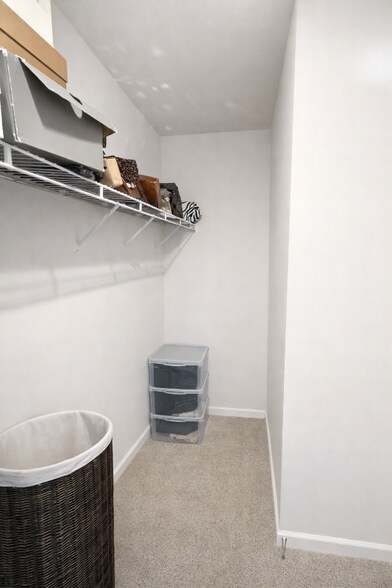 Building Photo - 5559 Wintergreen Dr