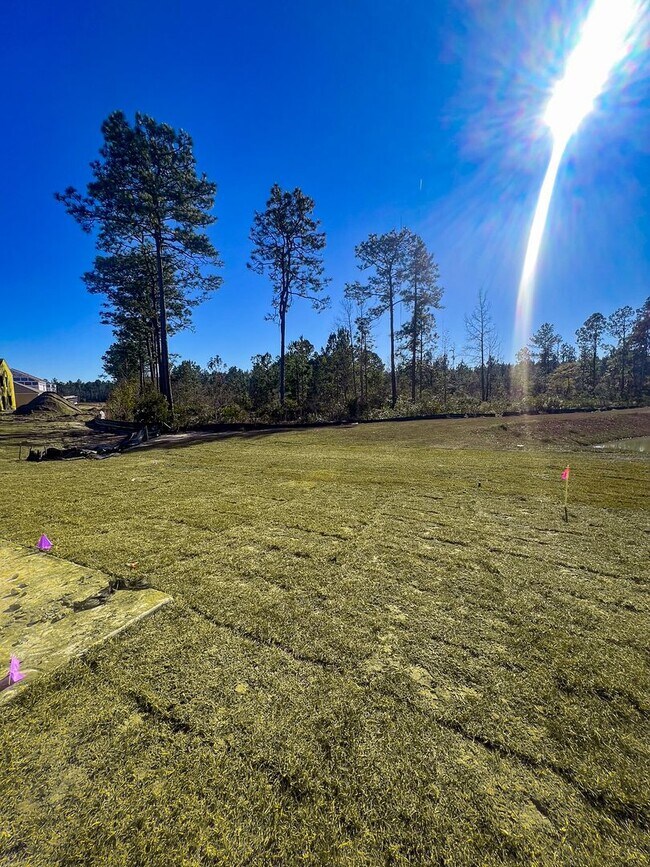 Building Photo - Available Now!