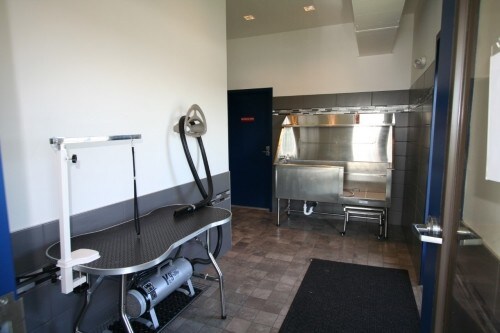 Building Photo - Junction Flats - 1 bedroom