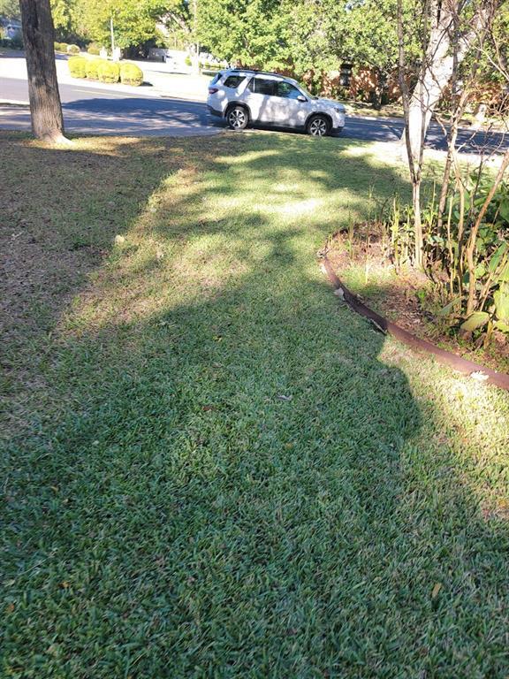 Building Photo - 10403 Pinehurst Dr