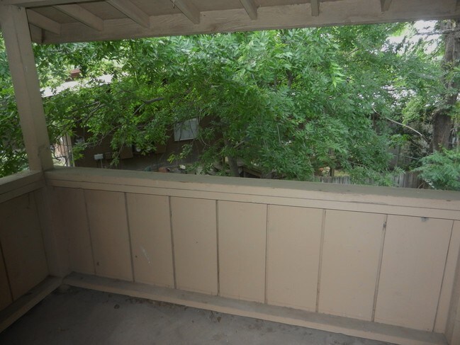 Building Photo - 3406 Dolphin Dr