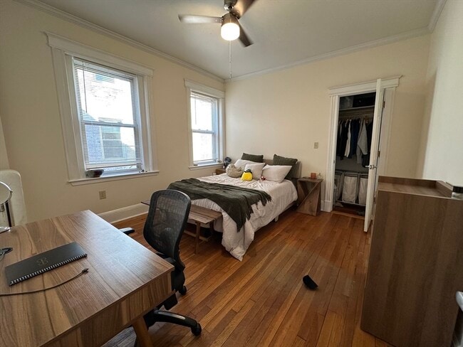 Primary Photo - 31 Peterborough St