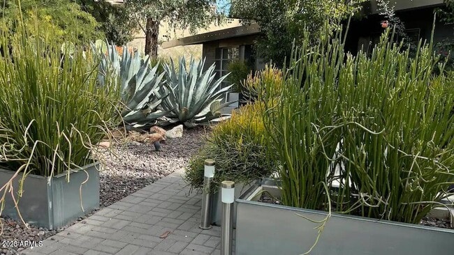 Building Photo - 7440 E Cave Creek Rd