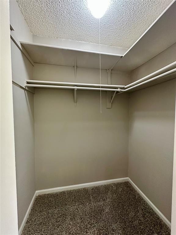 Building Photo - 3610 Greystone Dr