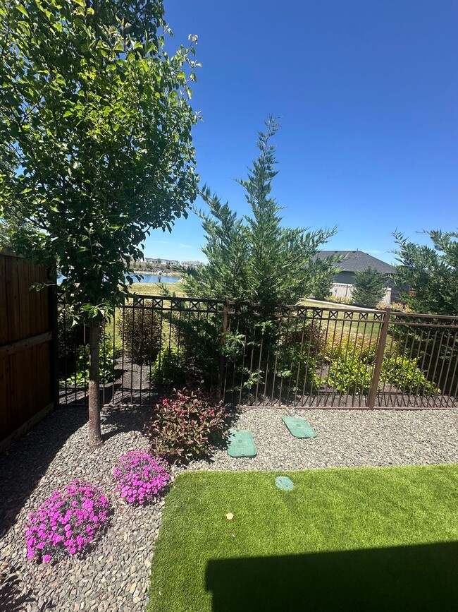 Building Photo - 6 months lease//Riverstone: Gated Community, Pond Access in BackYard, Patio Home, with all of the...