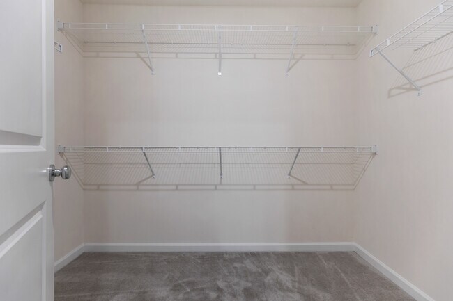 Building Photo - 2260 Horseshoe Cir