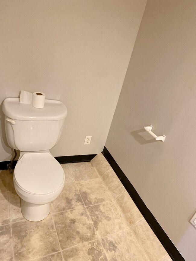 Building Photo - Benson 2 bed 2 bath with 2 additional non conforming rooms in the basement $1375