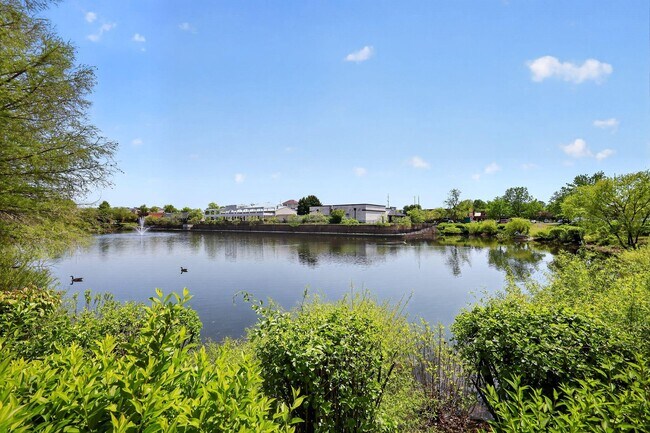 Building Photo - 2605 Chapel Lake Dr