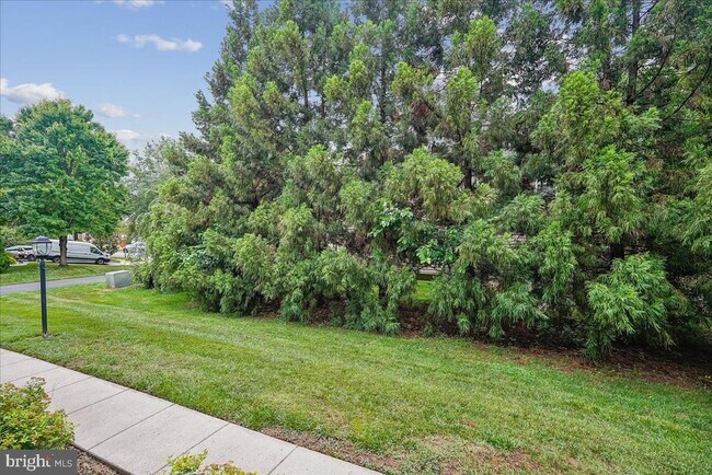 Building Photo - 905 Royal Elm Ct