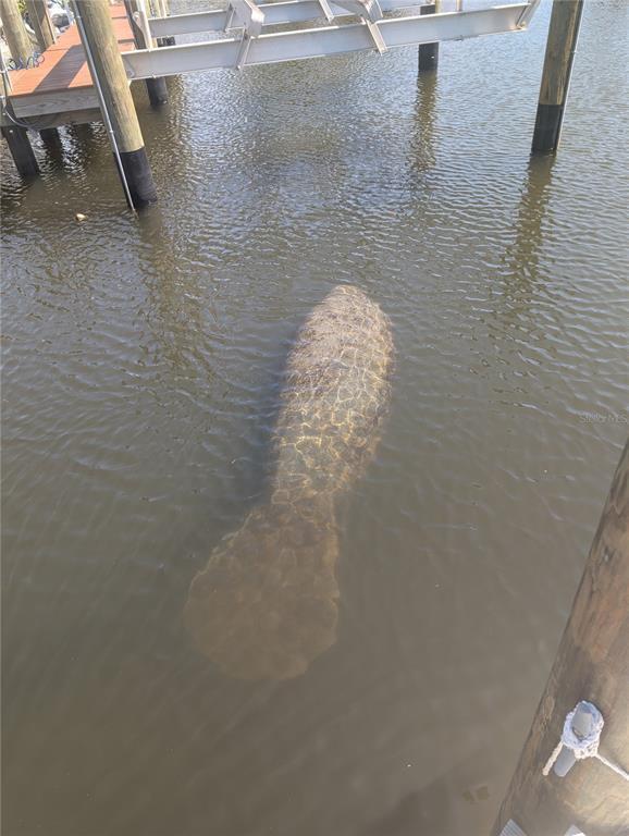 Building Photo - 511 Dona Dr