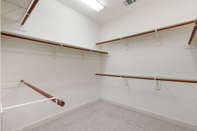 Building Photo - 3010 Blue Lagoon Ct