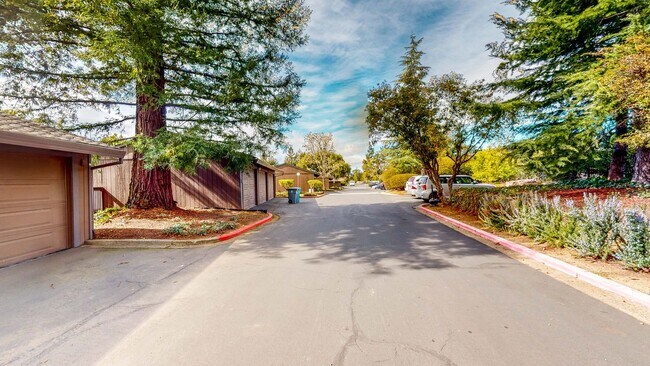 Building Photo - PURE Property Management Presents: Beautiful 3 Bedroom/2 Bath in Santa Rosa!