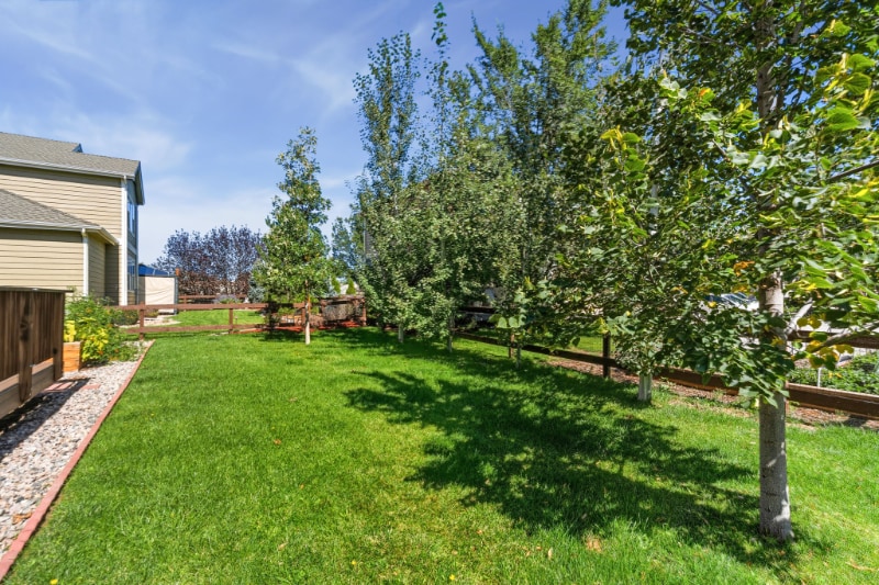 Building Photo - 538 Walhalla Ct