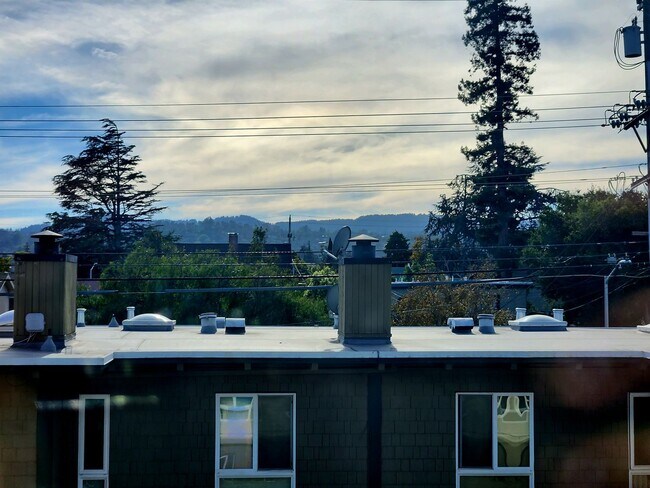 Building Photo - Woodlake Studio