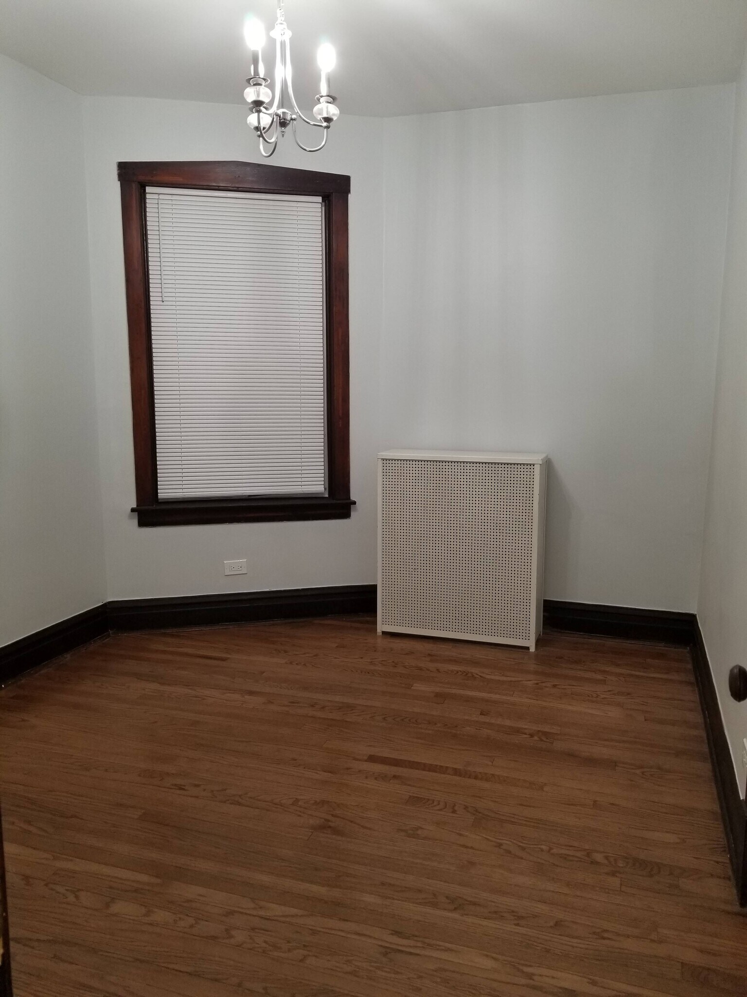 bedroom 2 - 4939 W Cornelia Ave