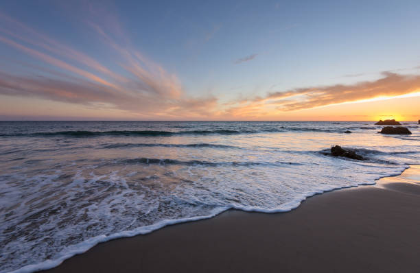 Building Photo - 631 Oak Run Trl