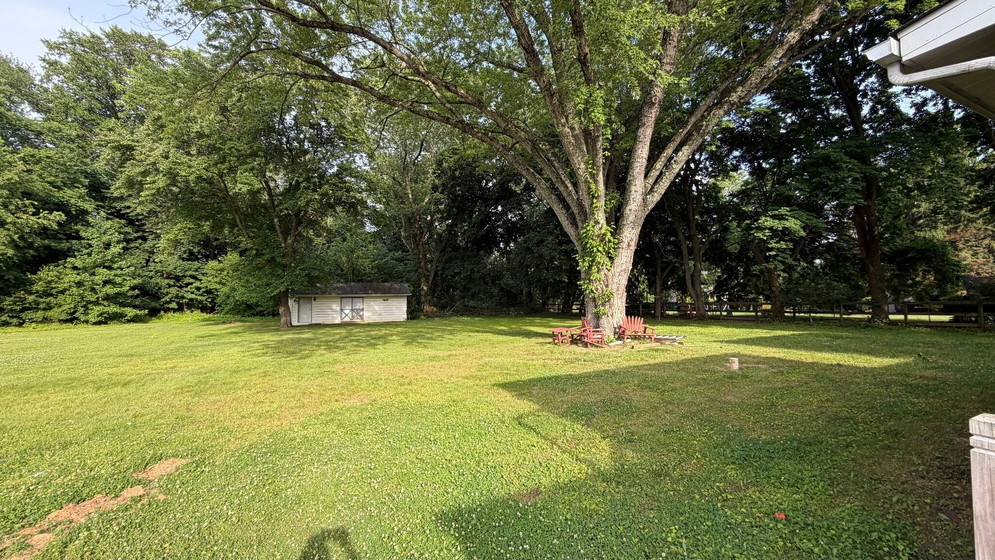 BackYard - 2923 Shipley Rd