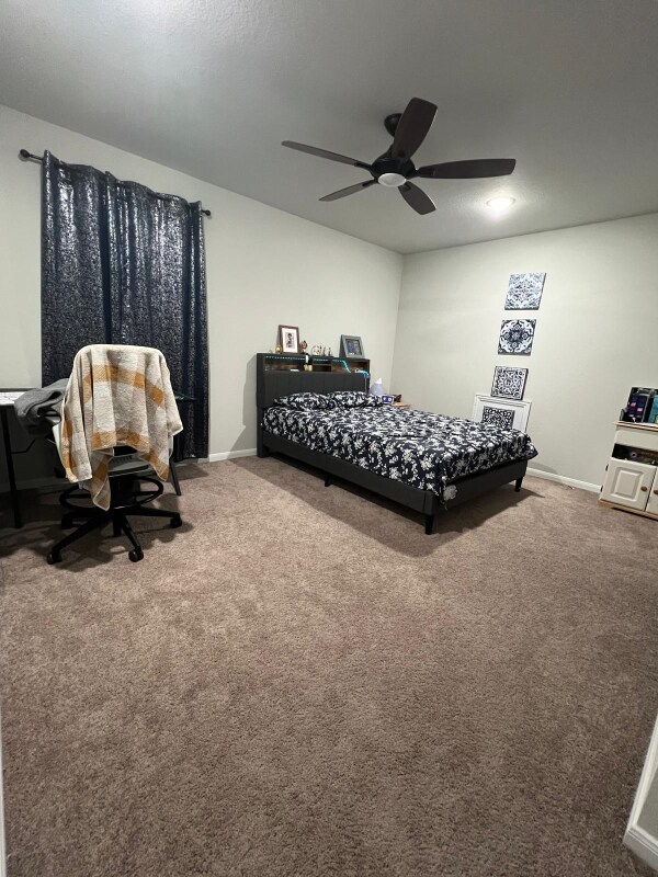 Building Photo - 312 Blue Hibiscus Dr