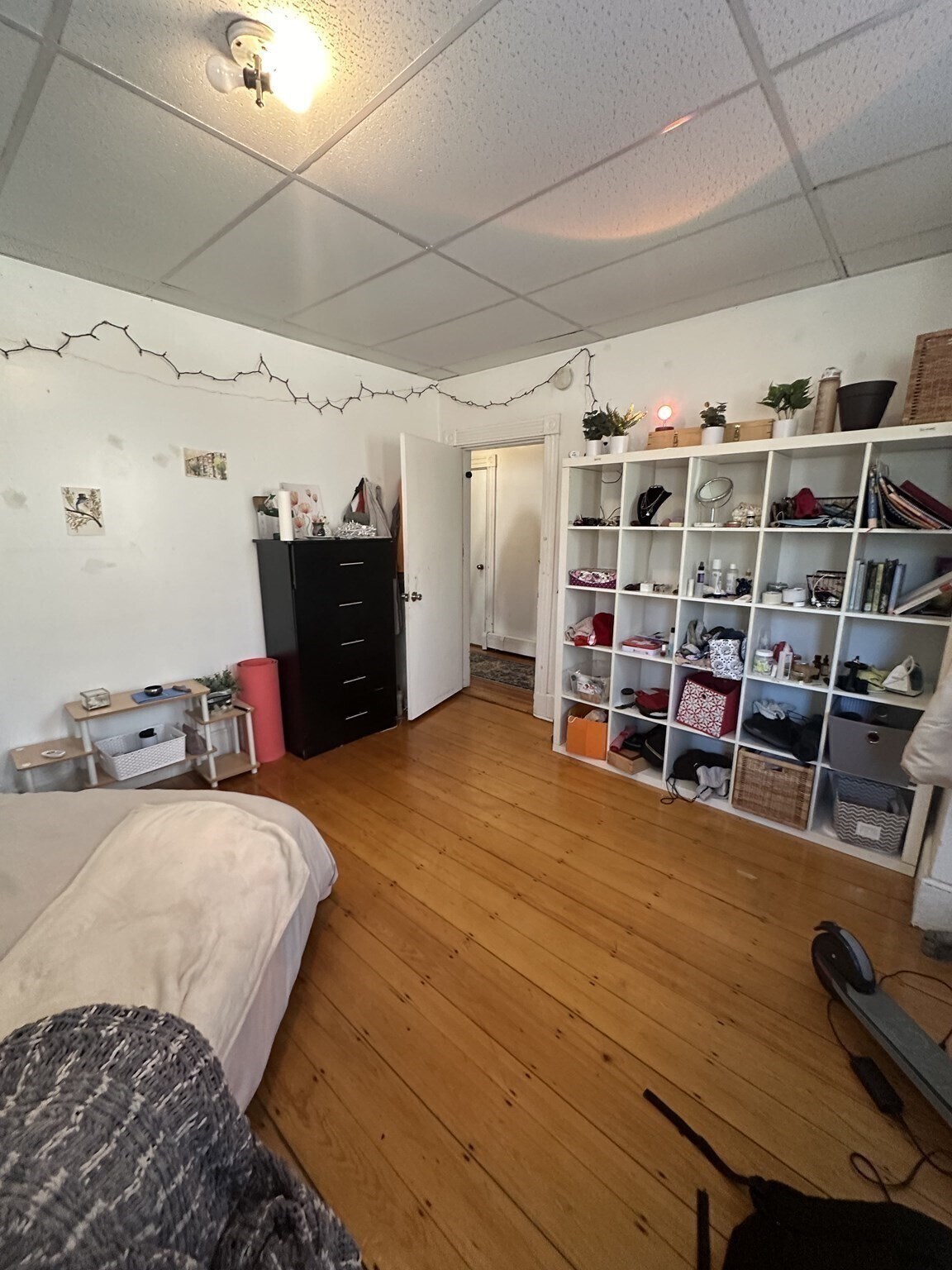 Building Photo - 50 Fisher Ave