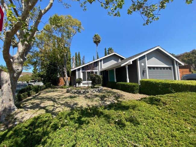 Building Photo - Remodeled Modern Single Story, Benicia