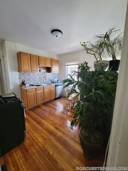 Primary Photo - 32 Juliette St