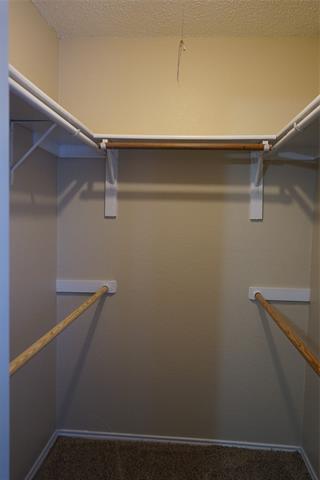 Building Photo - 10266 Maverick Dr