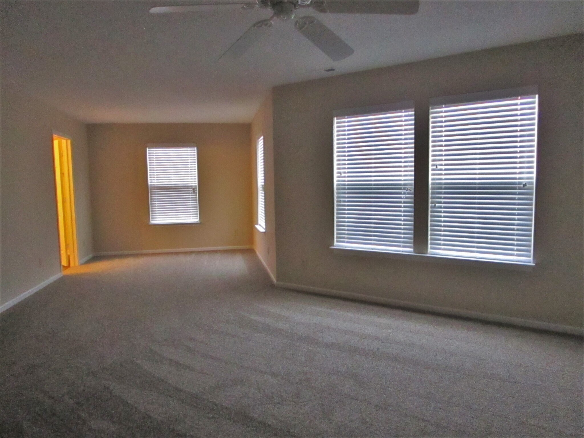 Building Photo - 711 Thornwood Ct