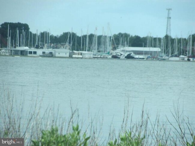 Building Photo - 304 Choptank Ave