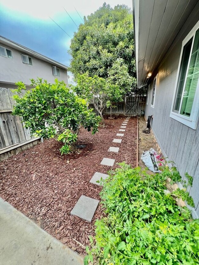 Building Photo - Beautiful, historic, Ocean Beach Cottage i...