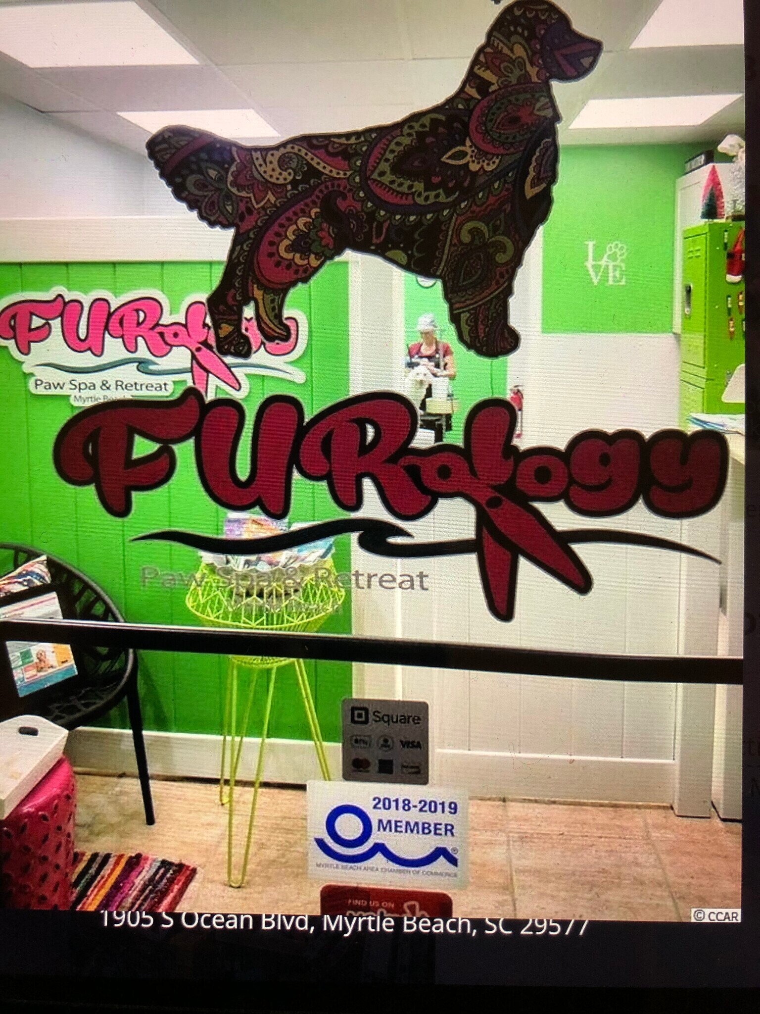 Furology pet spa on 1st floor - 1905 S Ocean Blvd