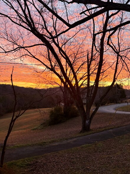 Building Photo - 412 Meadowview Ln